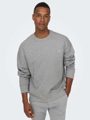 Only & Sons Sweatshirt 22026662