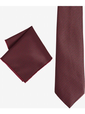 Altınyıldız Classics Desenli Kravat-Mendil Set