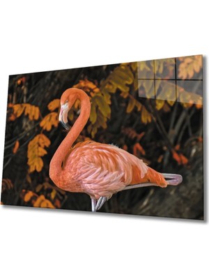 Marsilyan Flamingo 2 Cam Tablo