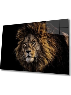 Aslan 20 Hayvan Cam Tablo