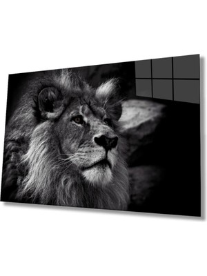 Marsilyan Teknoo- Aslan Hayvan Cam Tablo 4mm Dayanıklı Temperli Cam