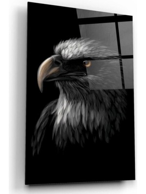 Teknoo- Kartal Cam Tablo