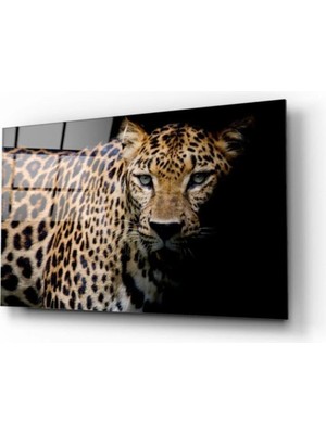 Leopar Cam Tablo