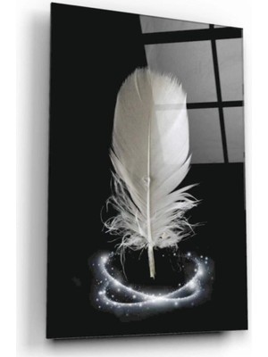 Marsilyan Siyah Tüy Cam Tablo