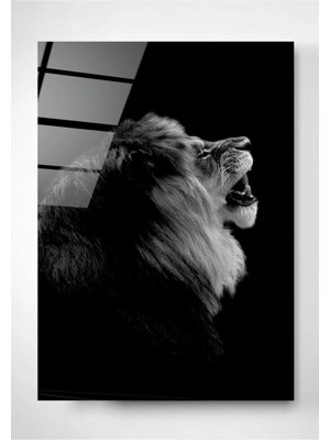 Marsilyan Teknoo- Siyah Beyaz Aslan Cam Tablo 70X110