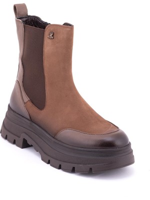 Venüs 2254631 Taba Nubuk Bot