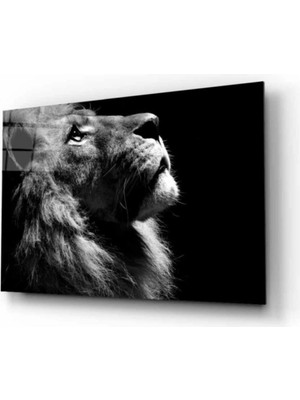 Marsilyan Teknoo- Aslan 16 Hayvan Cam Tablo