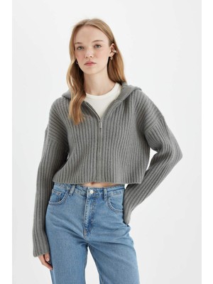 DeFacto Regular Fit Kapüşonlu Fermuarlı Triko Hırka C7335AX24WN