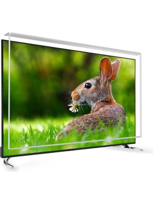 Regal 70 Inç 178 Ekran Tv Ekran Koruyucu  Regal Ekran Koruma Paneli