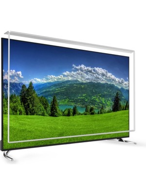 Regal 49 Inç 124 Ekran Tv Ekran Koruyucu  Regal Ekran Koruma Paneli