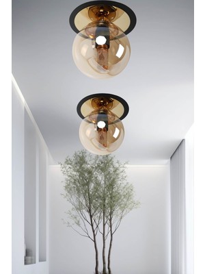 Mediterian Şık Siyah ve Altın Renkli Metal Bal Camlı Modern Plafonyer Avize