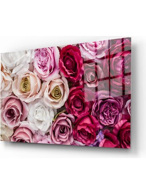 Marsilyan Doğa, Manzara 3D Dekoratif Baskı Yatay Cam Tablo 01