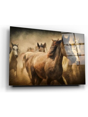 Marsilyan Atlar Cam Tablo | Hediyelik, Dekoratif, Ofis, Mutfak