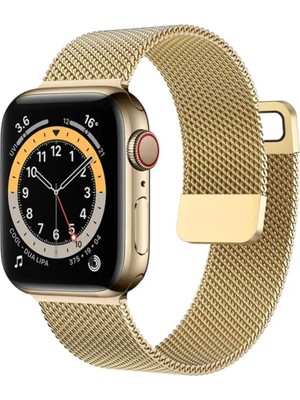 FirstModel Apple Watch Mıknatıslı Hasır Metal Kordon ( Seri 10 / 11 - 42 mm Uyumlu) Gold