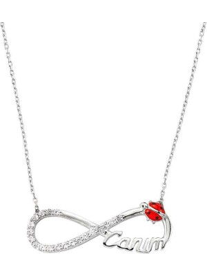 Cey jewelry Gümüş Uğur Böcekli Sonsuzluk Canım Bayan Kolye