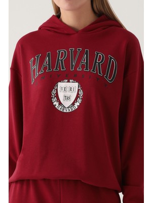 Harvard Kadın Bordo Sweatshirt