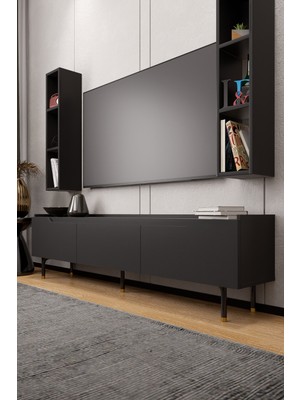 Lifedeco Tv Ünitesi Antrasit Kapaklı Ayaklı Eğri Kenar 2 Raflı LD-3003-GAEK2R