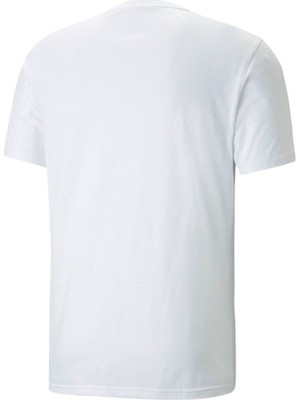 Puma 52249702 Performance Training Ss Tee Erkek T-Shirt