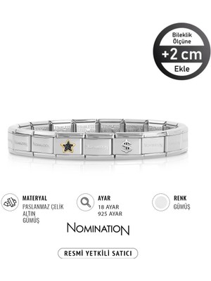 Nomination Italy Composable 18K Altın Siyah Taşlı Yıldız & 925K Gümüş Dolar Paslanmaz Çelik Silver Sılver