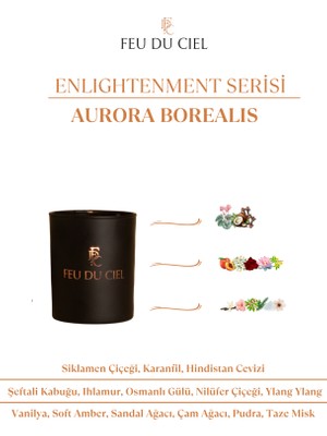 Feu du Ciel Signature Aurora Borealis Pudra Amber Kokulu Mum 150 gr