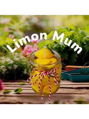 Allegro Limon Reçeli Nane Kokulu Dekoratif Mum (Doğal Soya Wax)