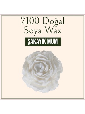 Allegro Şakayık Dekoratif Sandal Kokulu %100 Doğal Soya Wax Mum