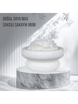 Allegro Saksılı Şakayık %100 Doğal Sandal Kokulu Soya Wax Dekoratif Mum