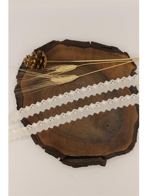 Gül Fisto Dar 894 - 9 mt Krem