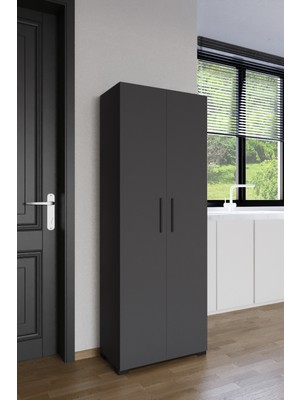 Aymobsan 2 Kapaklı Winter Çok Amaçlı Dolap