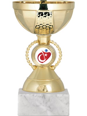 Odak Kişiye Özel Futbol Kupası Ödül Kupası Tören Kupası 16 cm ECO-009