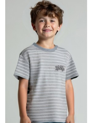 Minojoy Jasper Gri Çizgili Erkek Çocuk Tshirt