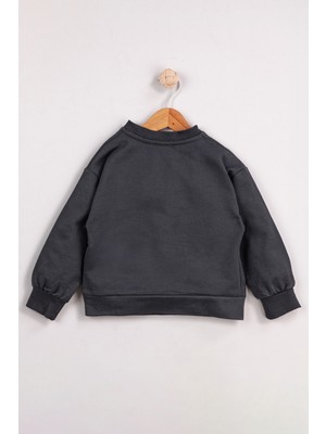 Harika Kids Erkek Çocuk 2'li Paket Basic Sweatshirt