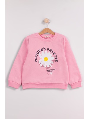 Harika Kids Kız Çocuk 2'li Paket Basic Sweatshirt