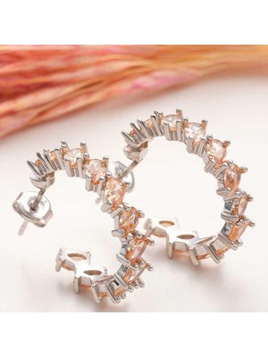 Cey jewelry Gümüş Kahverengi Taşlı Damla Çivili Kadın Küpe