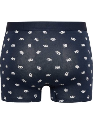 DeFacto Regular Fit Hayvan Baskılı 3'lü Boxer E0047AX24CW