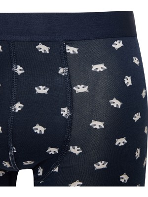 DeFacto Regular Fit Hayvan Baskılı 3'lü Boxer E0047AX24CW