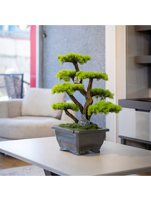 Flora Bonsai-6 Masaüstü Kullanıma Uygun Doğal Ağaç Gövdeli Yapay Bonsai Ağacı - 40X50 cm