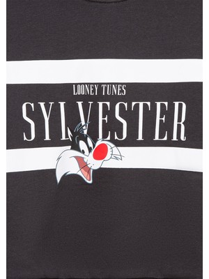 Mavi Sylvester Baskılı Antrasit SWEATSHIRT7S10074-70087