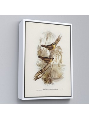 Alaz Trade Çerçeveli Dal Üzerindeki Kuşlar TABLOSU-8022