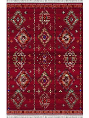 Homier Collection Homier Westa Kalitesi Yıkanabilir Kaymaz Taban Kilim ve Yolluk H-OT-4235