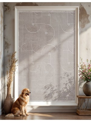 Halı Roma Pinterest Gri Giza