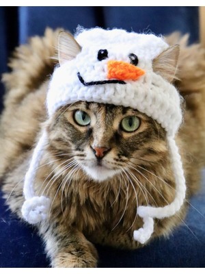 Yılbaşı Kedi Şapkası Hediye Kardan Adam Kedi Şapkası Sevimli Hayvan Noel Evcil Hayvan Aksesuarı