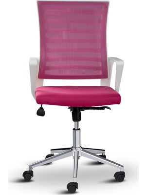 Asbir Mobilya Ceo Fileli Çalışma Koltuğu Ofis Sandalyesi Çalışma Sandalyesi