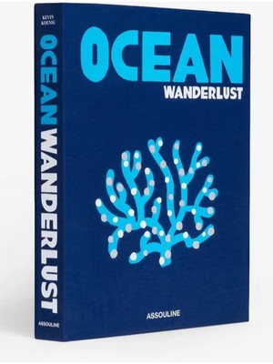 2025 667 Ocean Wanderlust