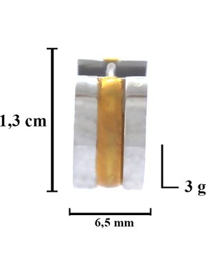 Ferizz Altın Kaplama Çift Renk Halka Küpe UNK-719