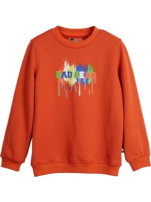 Bad Bear Hued Sweatshirt 24.06.12.005-C38