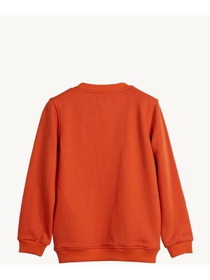 Bad Bear Hued Sweatshirt 24.06.12.005-C38