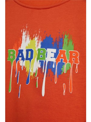 Bad Bear Hued Sweatshirt 24.06.12.005-C38