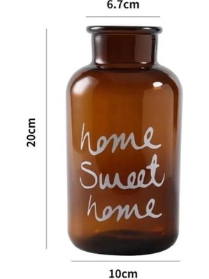 Safestore Home Sweet Home Amber Cam Vazo ve 10’lu Beyaz Doğal Kurutulmuş Pamuk Dalları