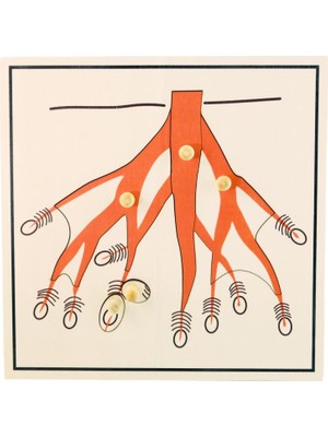 Balatoyz Montessori Ağaç Kökü Puzzle